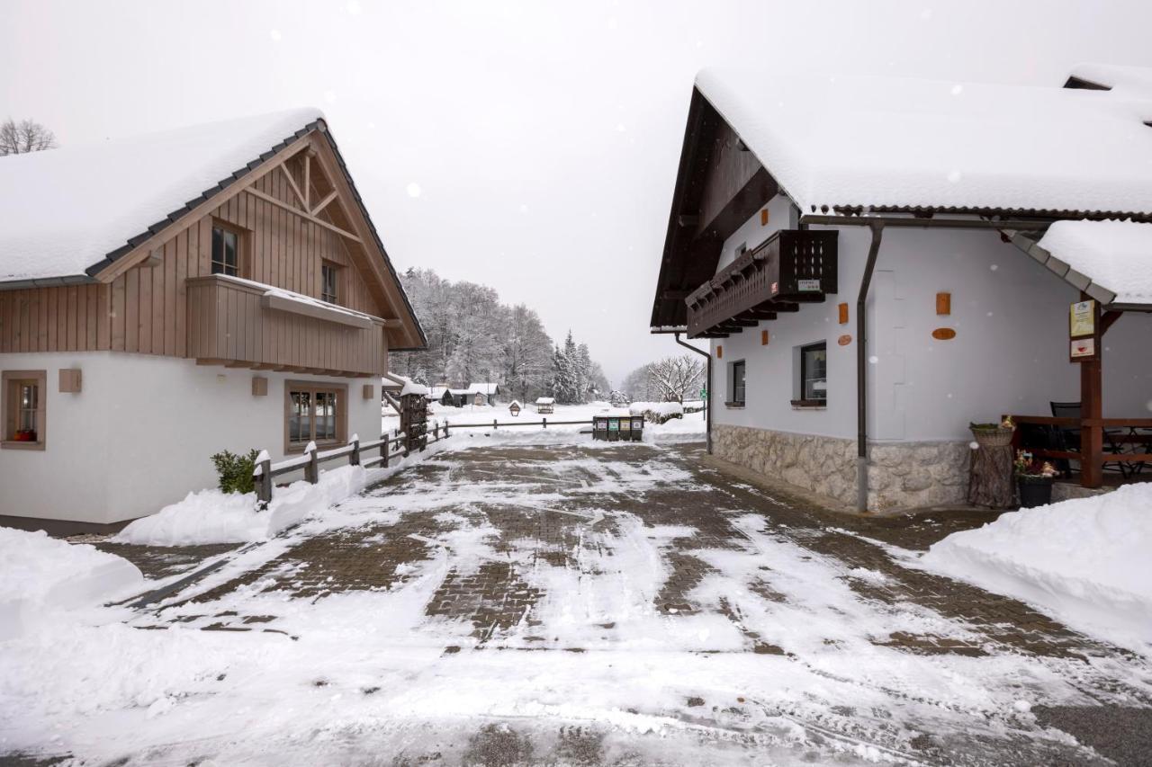 Apartments Alp Bohinj Exteriér fotografie